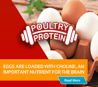Egg Protein for Brain Health