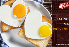 Eating eggs may prevent stroke