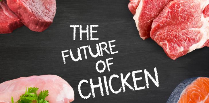 Chicken Proteins Future Among Growing Veganism Trend Chicken Proteins Future Among Growing Veganism Trend
