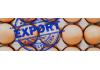 Russia expands egg exports in a bid to mitigate oversupply crisis