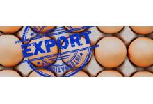 Russia expands egg exports in a bid to mitigate oversupply crisis