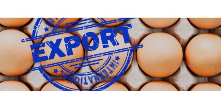 Russia expands egg exports in a bid to mitigate oversupply crisis