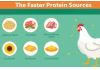 Best Protein Sources in Poultry Feed for Faster Broiler Growth