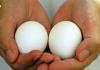 6 reasons why eggs are good for senior adults!