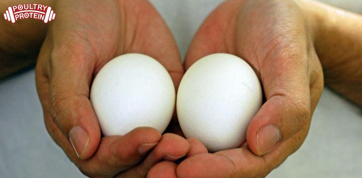 6 reasons why eggs are good for senior adults!