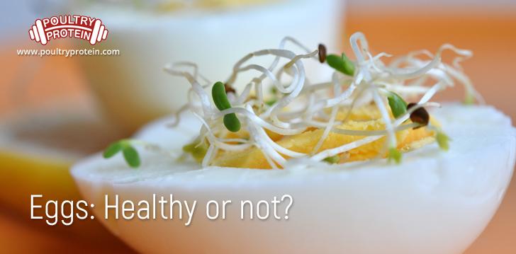 Eggs: Healthy or not? Eggs: Healthy or not?
