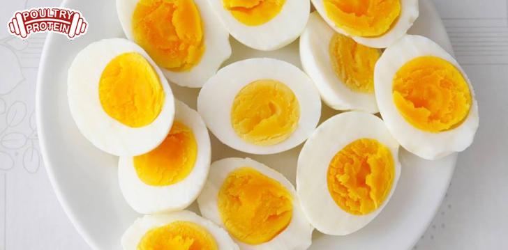 Are Eggs Good for Your Health? 26 Reasons to Eat Eggs