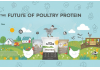 The Future of Poultry Protein: Clean Labels, Sustainability & Nutrition