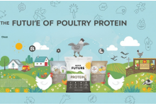 The Future of Poultry Protein: Clean Labels, Sustainability & Nutrition
