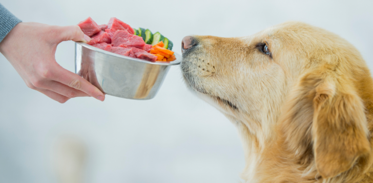 Poultry Protein in Pet Food: Is It Safe and Nutritious?