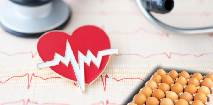 Why Poultry Protein Is a Smart Choice for Heart Health