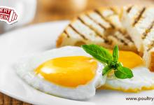 Why you should have eggs in the morning?