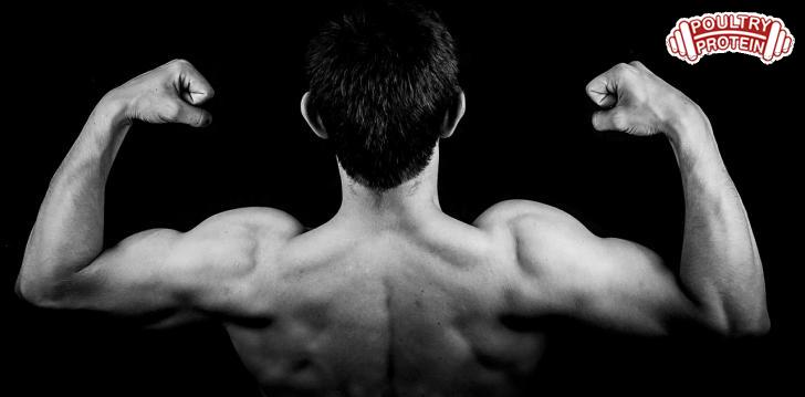 What You Need To Build Muscle! What You Need To Build Muscle!