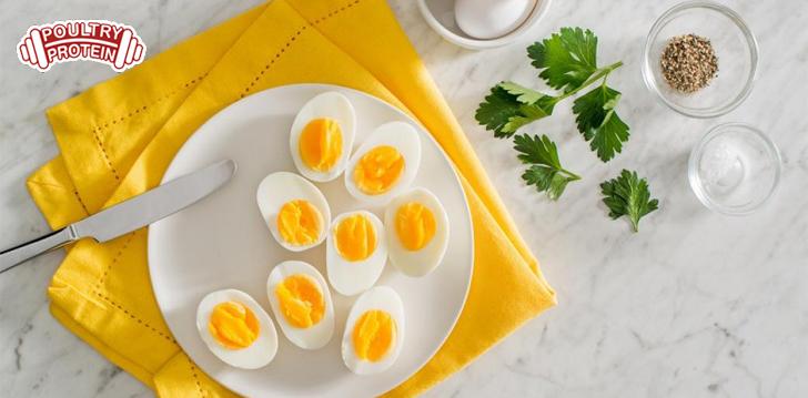 Could eggs be the most nutritious food on the planet? Could eggs be the most nutritious food on the planet?
