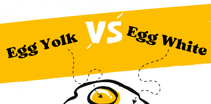 Egg Yolks or Egg Whites: Which Is Healthier?