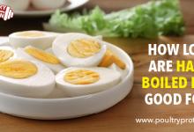 How Long Are Hard-Boiled Eggs Good For?